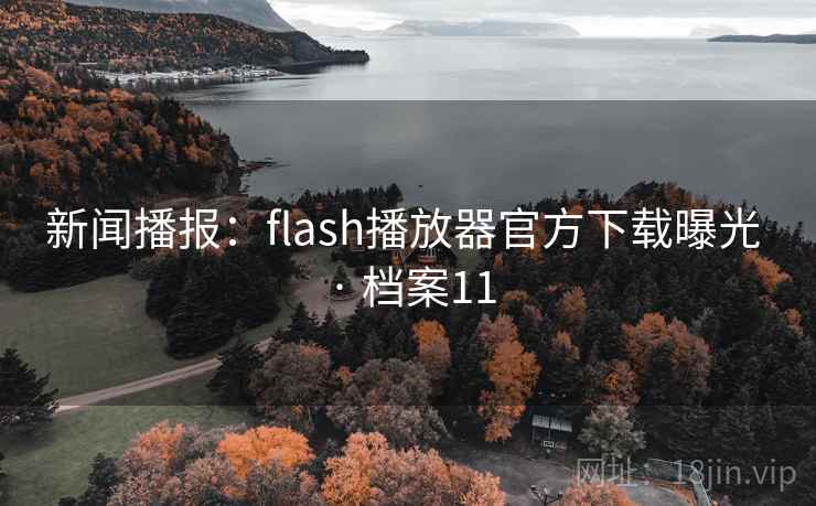 新闻播报:flash播放器官方下载曝光 · 档案11 新闻播报:flash播放器官方下载曝光 · 档案11