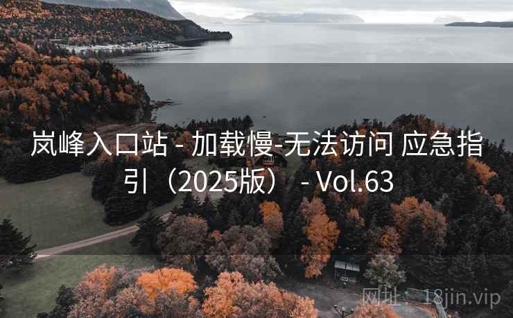 岚峰入口站 - 加载慢-无法访问 应急指引(2025版) - Vol.63 岚峰入口站 - 加载慢-无法访问 应急指引(2025版) - Vol.63